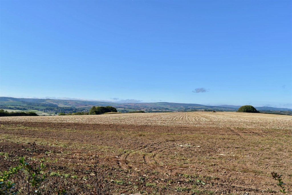 West Quantoxhead  0.25 Acre