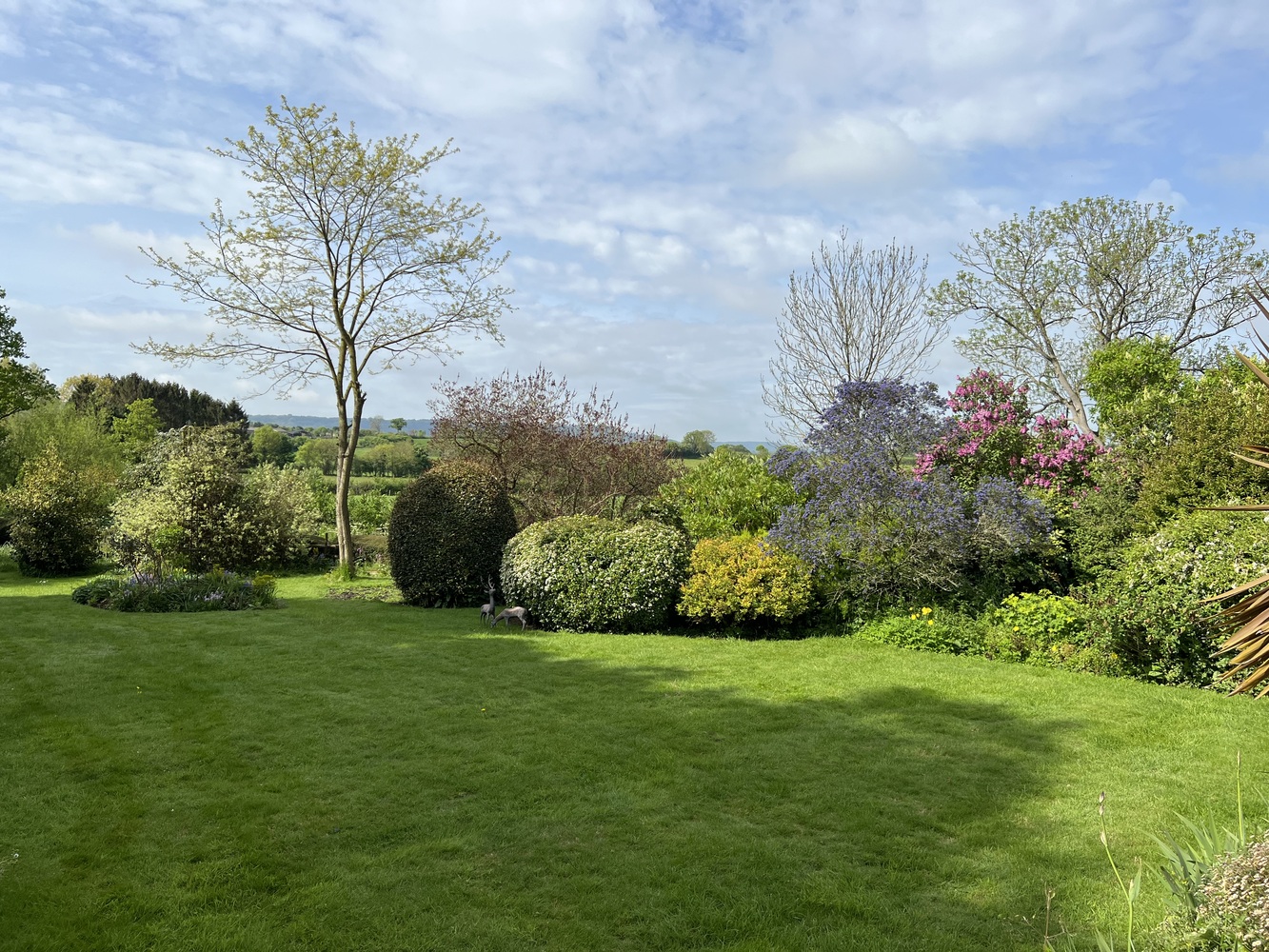 Canonsgrove Close, Trull