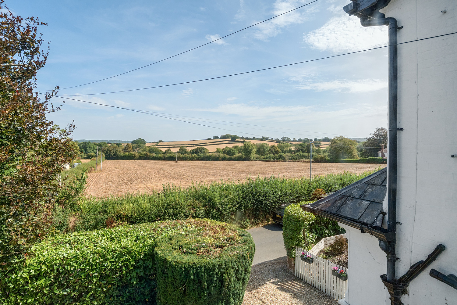 Wild Oak Lane, Trull