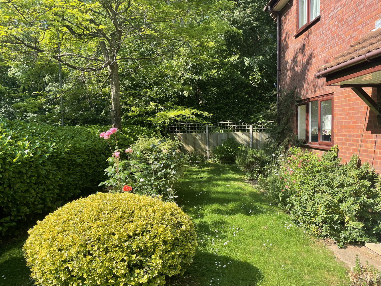 Saffron Close, Taunton
