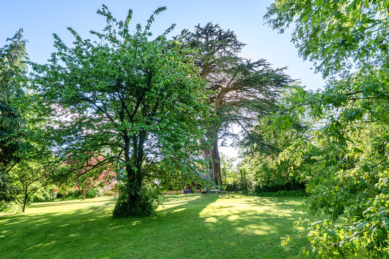 Walford Cross, Taunton